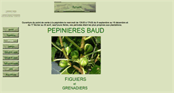 Desktop Screenshot of fig-baud.com