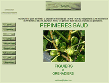 Tablet Screenshot of fig-baud.com